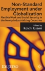 Non-standard Employment under Globalization : Flexible Work and Social Security in the Newly Industrializing Countries - Book