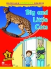 Macmillan Children's Readers Big and Little Cats Level 3 - Book