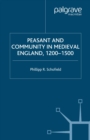 Peasant and Community in Medieval England, 1200-1500 - eBook