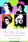 The Star as Icon : Celebrity in the Age of Mass Consumption - eBook