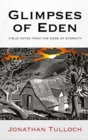 Glimpses of Eden : Field notes from the edge of eternity - Book