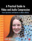 A Practical Guide to Video and Audio Compression : From Sprockets and Rasters to Macro Blocks - Book