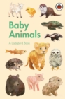 A Ladybird Book: Baby Animals - eBook