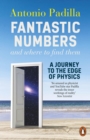 Fantastic Numbers and Where to Find Them : A Journey to the Edge of Physics - eBook