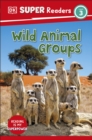 DK Super Readers Level 3 Wild Animal Groups - Book