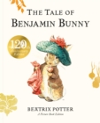 The Tale of Benjamin Bunny Picture Book - Book