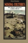 Mining Cultures : Men, Women, and Leisure in Butte, 1914-41 - Book