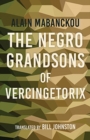 The Negro Grandsons of Vercingetorix - Book
