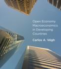 Open Economy Macroeconomics in Developing Countries - Book
