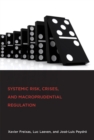 Systemic Risk, Crises, and Macroprudential Regulation - eBook