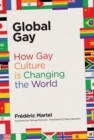 Global Gay : How Gay Culture Is Changing the World - eBook