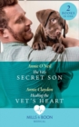 The Vet's Secret Son / Healing The Vet's Heart : The Vet's Secret Son (Dolphin Cove Vets) / Healing the Vet's Heart (Dolphin Cove Vets) - Book
