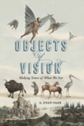 Objects of Vision : Making Sense of What We See - Book