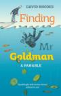 Finding Mr Goldman - Book