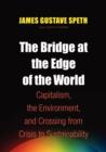 The Bridge at the End of the World - Book