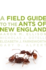 A Field Guide to the Ants of New England - eBook