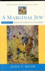 A Marginal Jew: Rethinking the Historical Jesus, Volume V : Probing the Authenticity of the Parables - Book
