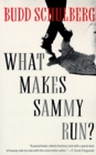 What Makes Sammy Run? - eBook