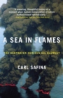 A Sea in Flames : The Deepwater Horizon Oil Blowout - Book
