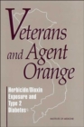 Veterans and Agent Orange : Herbicide/Dioxin Exposure and Type 2 Diabetes - Book