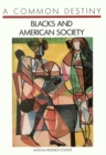 A Common Destiny : Blacks and American Society - eBook