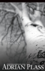 Silver Birches : A Novel - Book