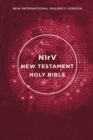 NIrV, Outreach New Testament, Paperback, Pink - Book