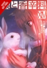 Spice and Wolf, Vol. 14 (manga) - Book