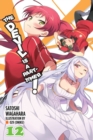 The Devil is a Part-Timer!, Vol. 12 (light novel) - Book