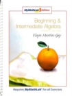 Beginning and Intermediate Algebra - Book