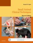 Small Animal Clinical Techniques - Book