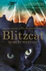 Blitzcat - eBook