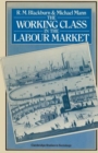 The Working Class in the Labour Market - Book