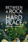 Between a Rock and a Hard Place : Public Theology in a Post-Secular Age - Book