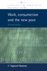 Work, Consumerism and the New Poor - Book