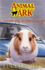 Guinea-pig in the Garage - Book