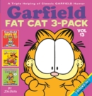 Garfield Fat Cat 3-Pack #13 : A triple helping of classic Garfield humor - Book