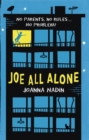 Joe All Alone - Book
