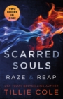 Scarred Souls - Book