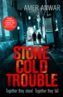 Stone Cold Trouble - Book