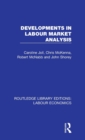 Developments in Labour Market Analysis - Book