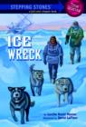 Ice Wreck - eBook