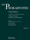 Prokaryotes : Vol. 3: Archaea. Bacteria: Firmicutes, Actinomycetes - eBook