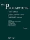 The Prokaryotes : Vol. 5: Proteobacteria: Alpha and Beta Subclasses - eBook