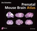 Prenatal Mouse Brain Atlas : Color images and annotated diagrams of: Gestational Days 12, 14, 16 and 18 Sagittal, coronal and horizontal section - Book