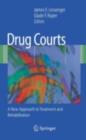Drug Courts : A New Approach to Treatment and Rehabilitation - eBook
