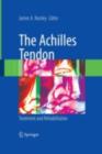 The Achilles Tendon : Treatment and Rehabilitation - eBook