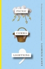 Picnic Comma Lightning : The Experience of Reality in the Twenty-First Century - Book