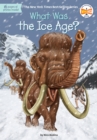 What Was the Ice Age? - Book