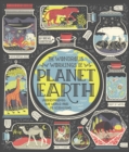Wondrous Workings of Planet Earth - eBook